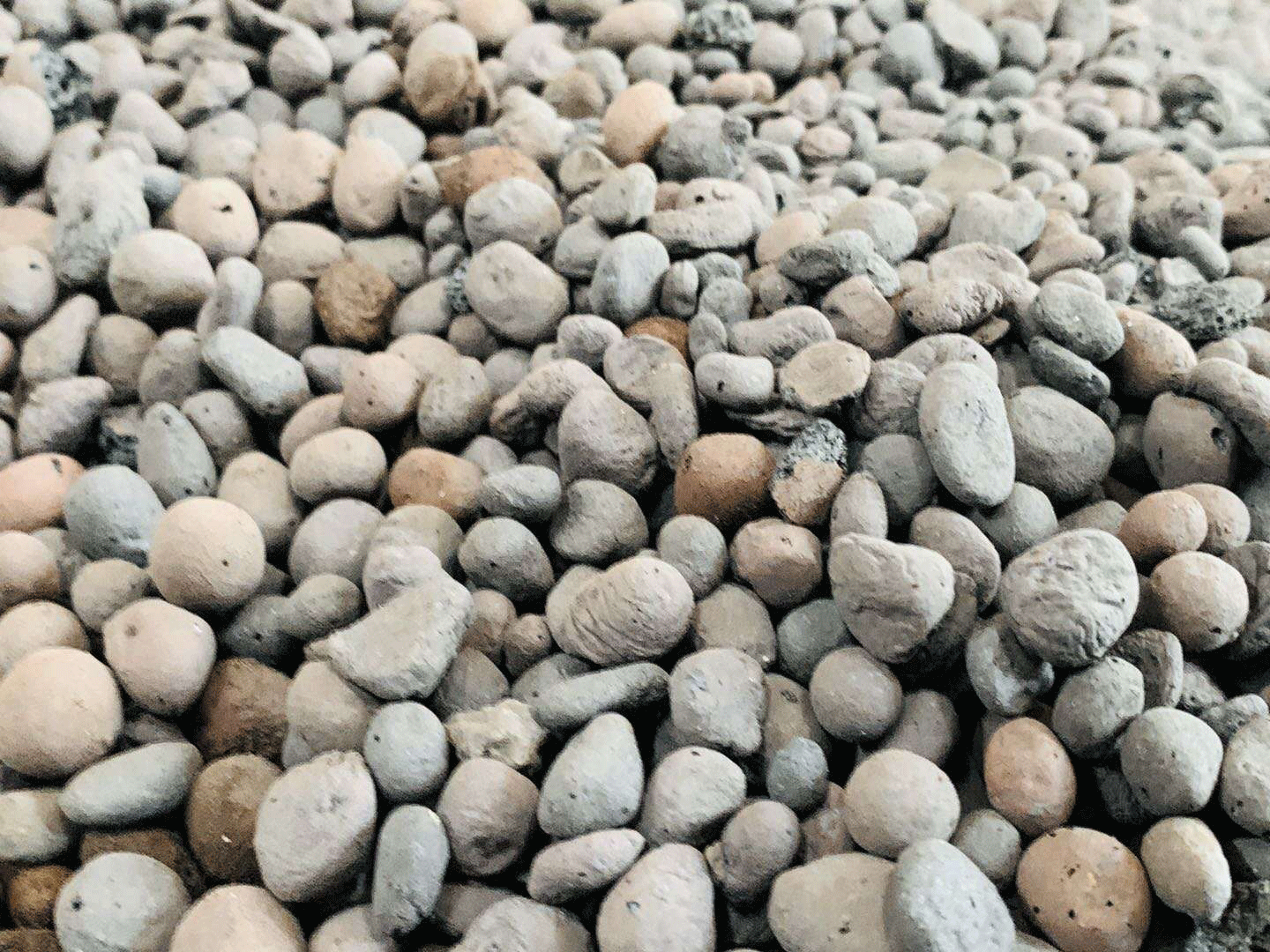 江西撫州陶粒廠(chǎng)發(fā)貨,價(jià)格便宜,陶粒強(qiáng)度好 江西撫州陶粒廠(chǎng)發(fā)貨,價(jià)格便宜,陶粒強(qiáng)度好