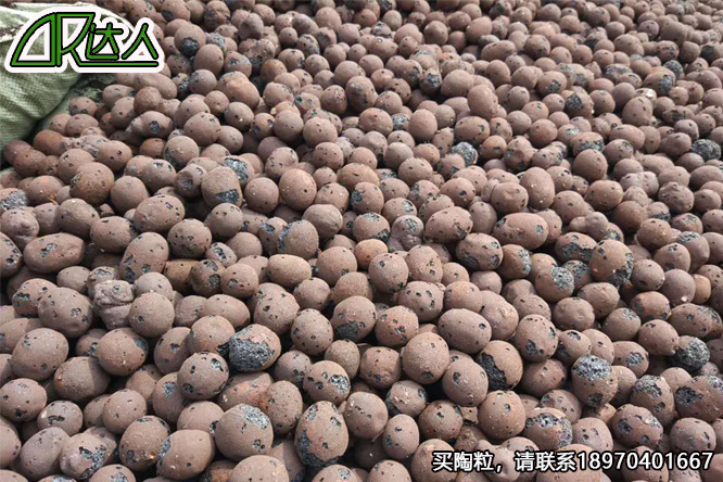 撫州陶粒_撫州陶粒批發(fā)_衛(wèi)生間回填陶粒 撫州陶粒_撫州陶粒批發(fā)_衛(wèi)生間回填陶粒