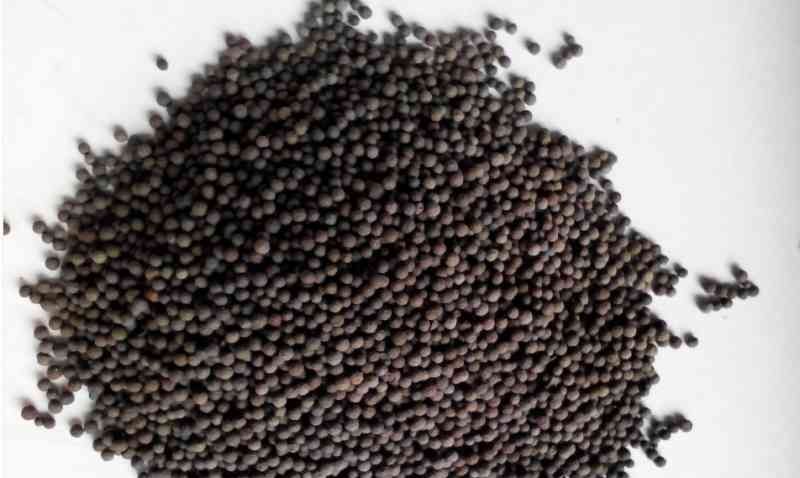 工業(yè)過濾材料也用達人輕質陶粒